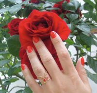 0FDB2401-C093-490A-94B0-94A4480841E1