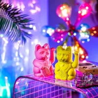 3AF71E86-8209-43C8-999F-F63CE307CB24