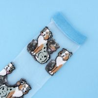 A2D63AC4-A4E4-46C0-BBE6-DE0C6B2CFC5C